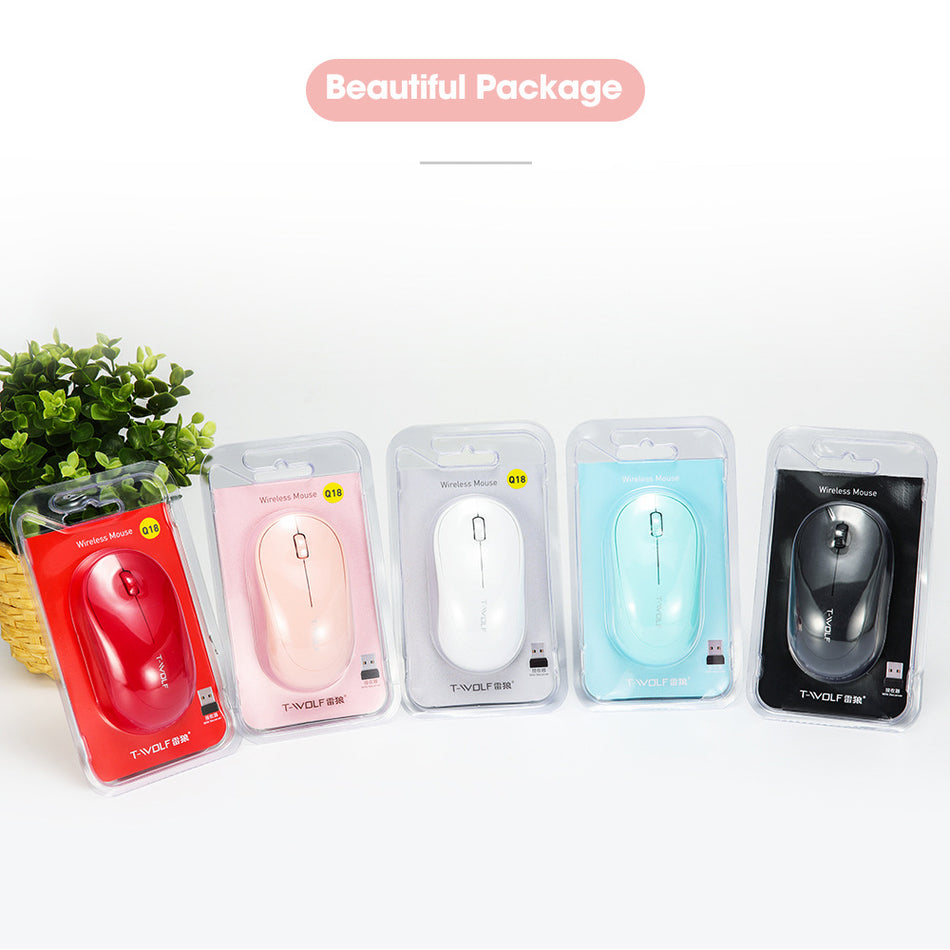 Portable Wireless Mouse for Laptop and Office Use