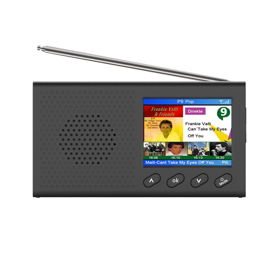 Portable DAB Digital Radio with Color Display & USB Playback
