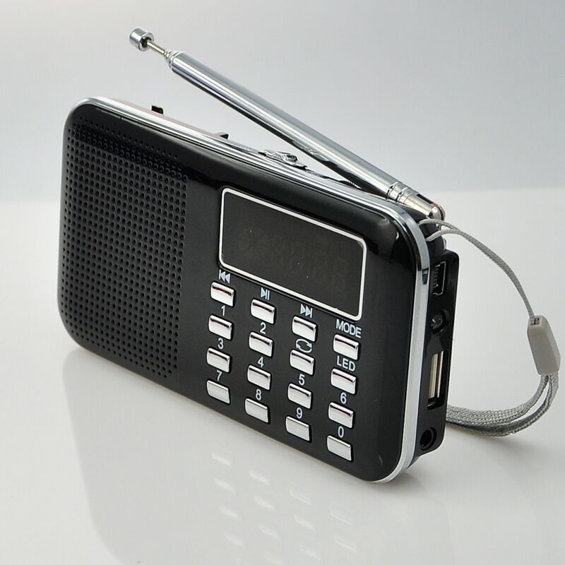 L218 Portable Mini Card Speaker with FM Radio and MP3 Player