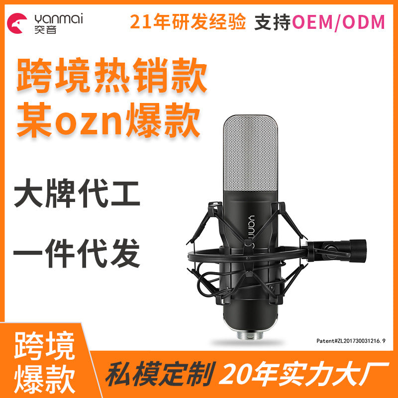 48V Phantom Power Condenser Microphone for K-Song & Live