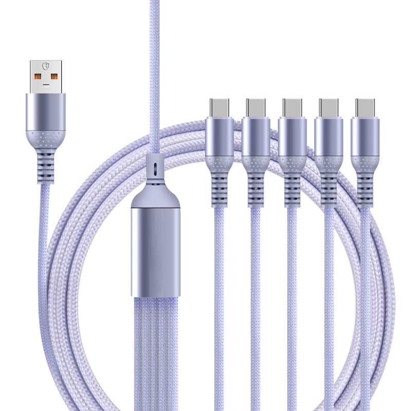 5-in-1 Multi-Head Type-C Fast Charging Data Cable