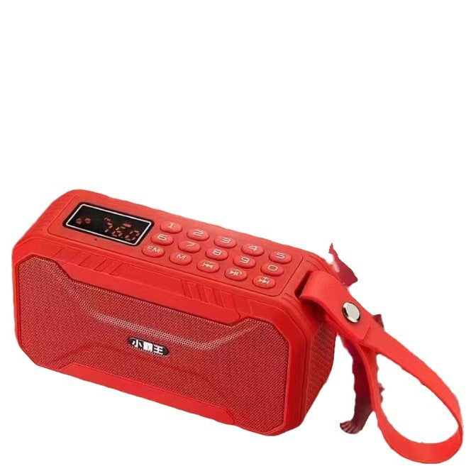 D100 Waterproof Subwoofer Speaker with FM & Card