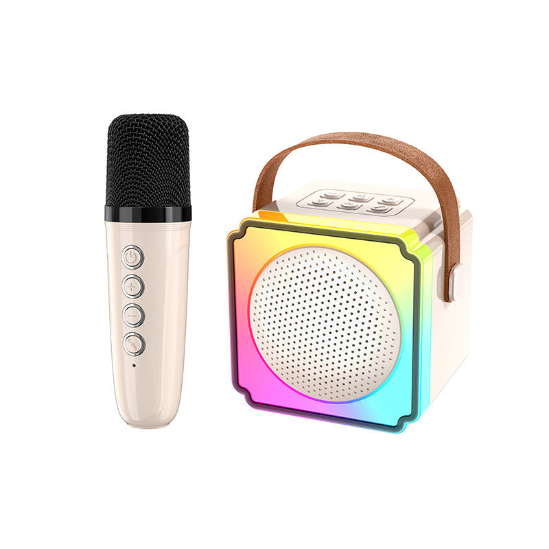 P8 Dual Bluetooth KTV Mic – All-in-One Wireless Speaker System