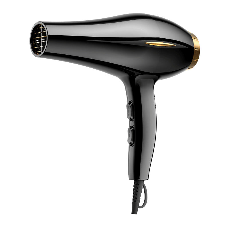 High-Power Blue Light Hair Dryer for Salon & Home