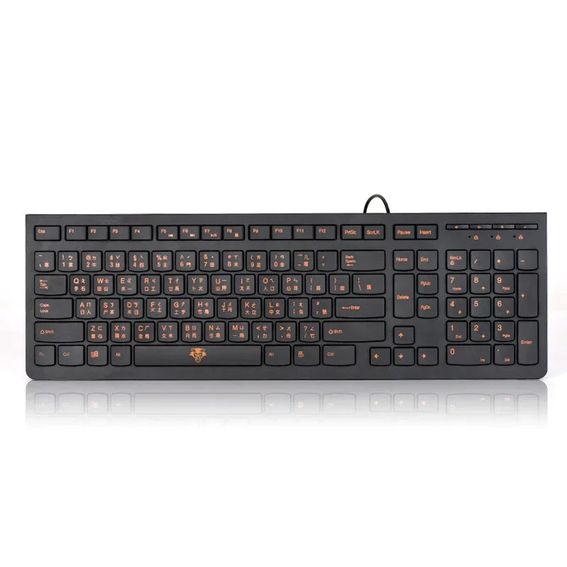 Cangjie Traditional USB Keyboard – Wired for Desktop
