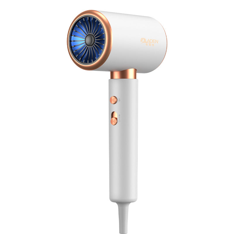 Braden High-Power Hair Dryer – Salon Ion Care, 2200W